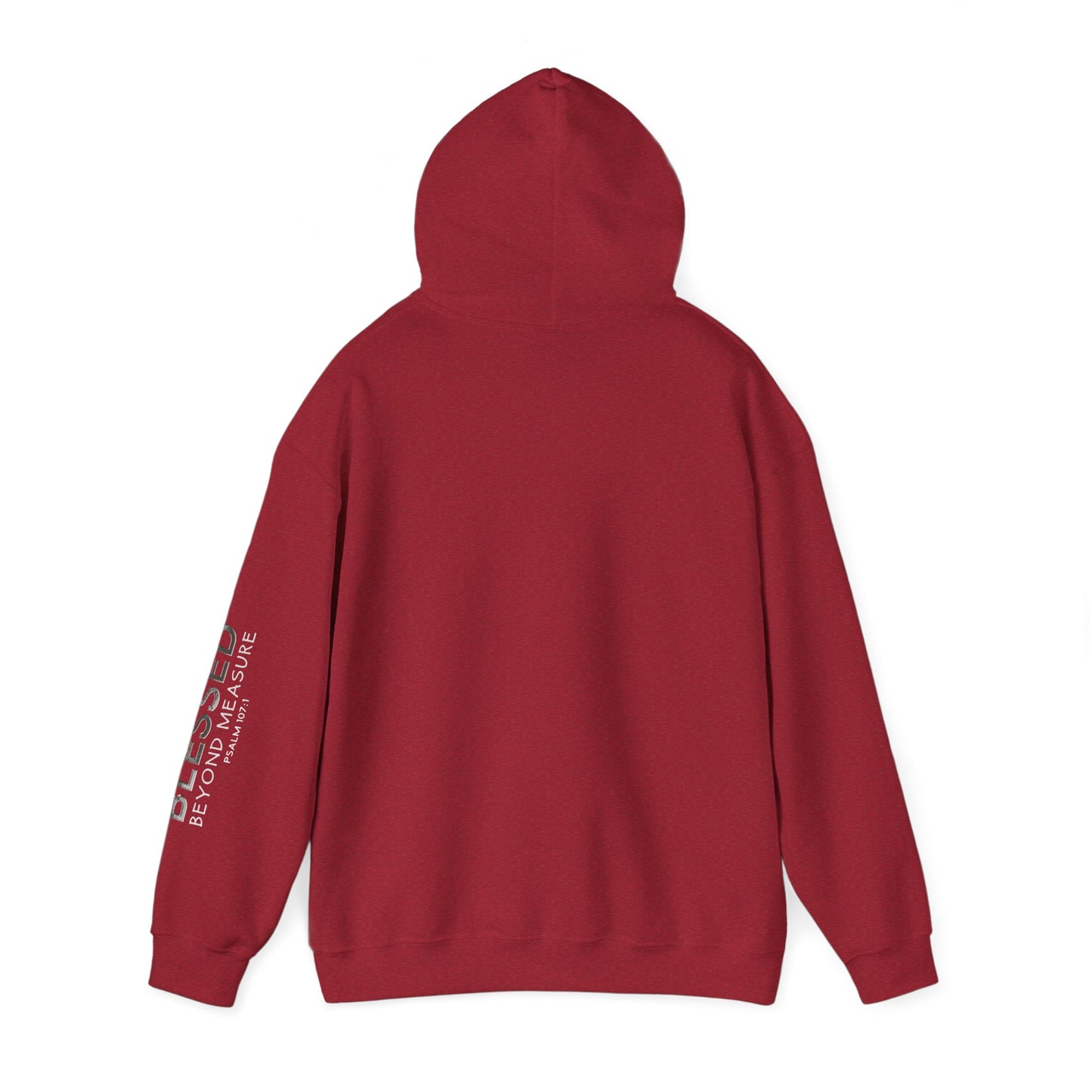 Blessed Beyond Measure Hoodie