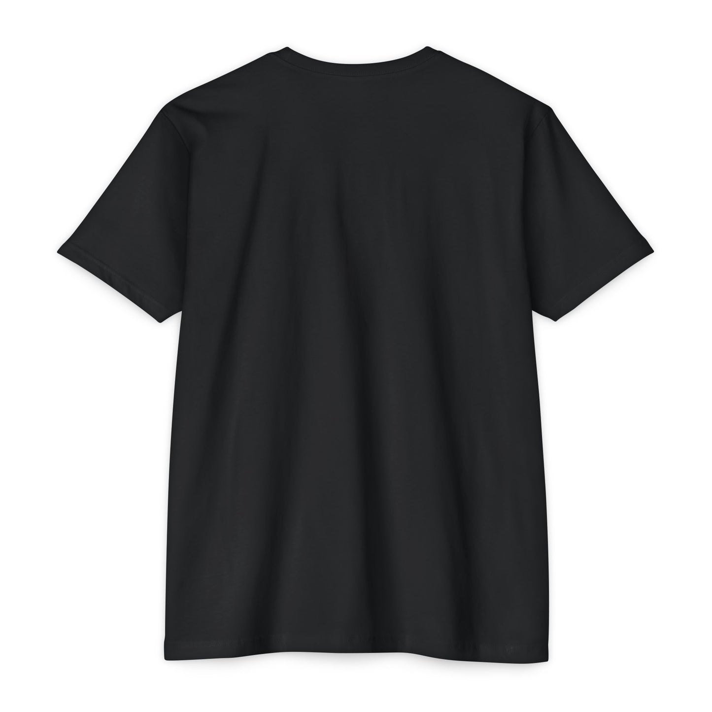 Haitian Eagle Champion T-Shirt - Unisex Epic Graphic Tee